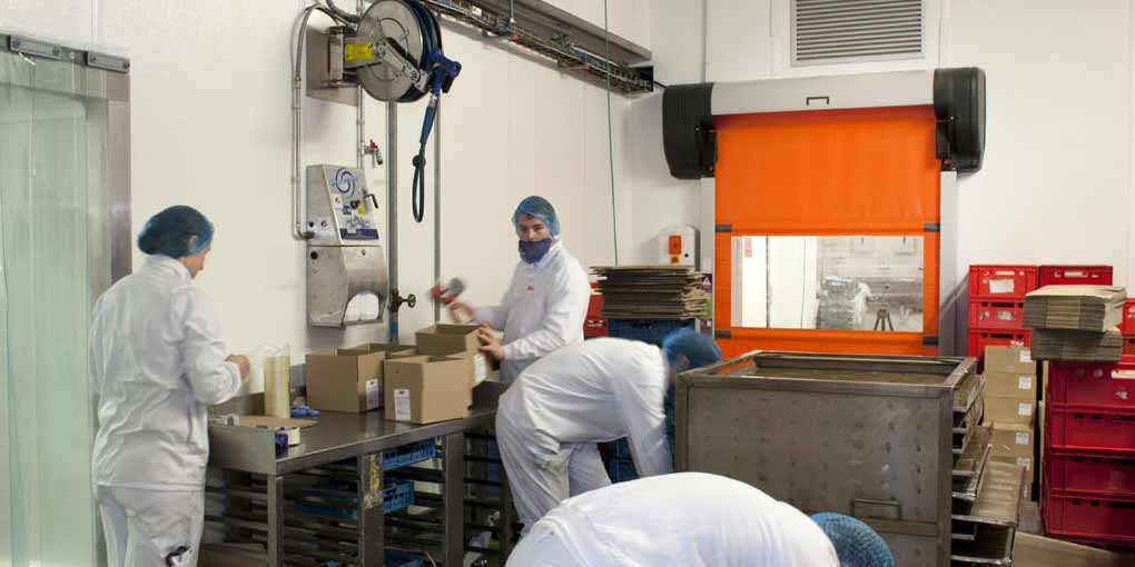 High-Speed Door for Food Processing - Image 1